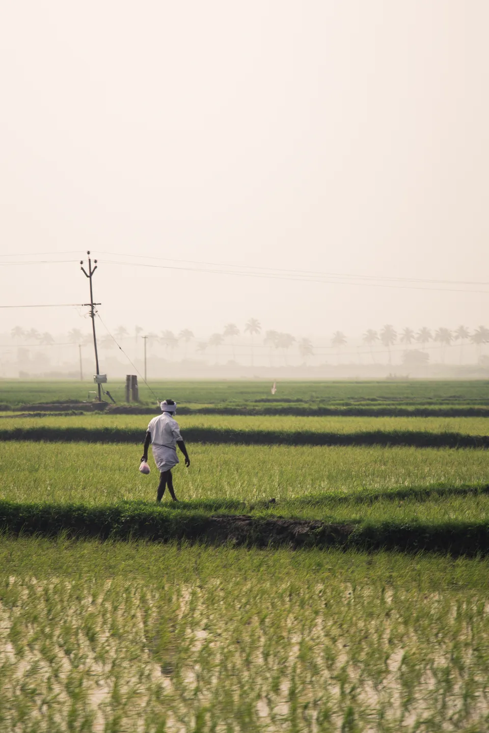 Countryside