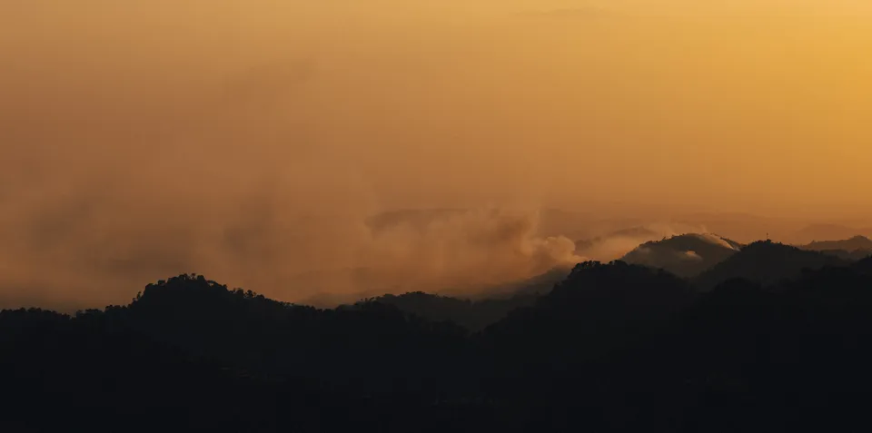 Forest Fire at Sunset