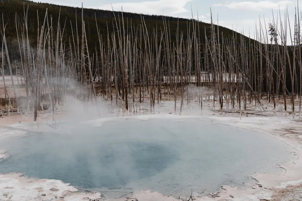 Geyser Life