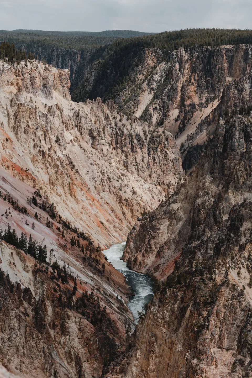 Grand Canyon of Yellowstone