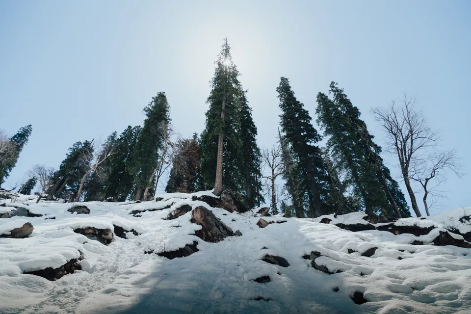 Himalayan Snow