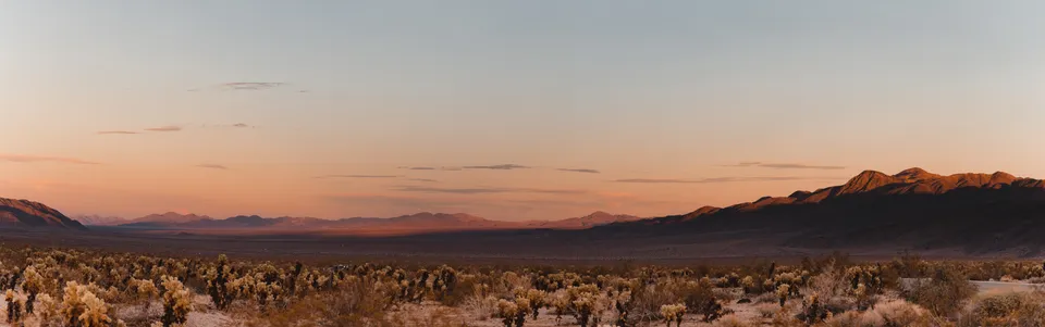 Joshua Tree Sunset