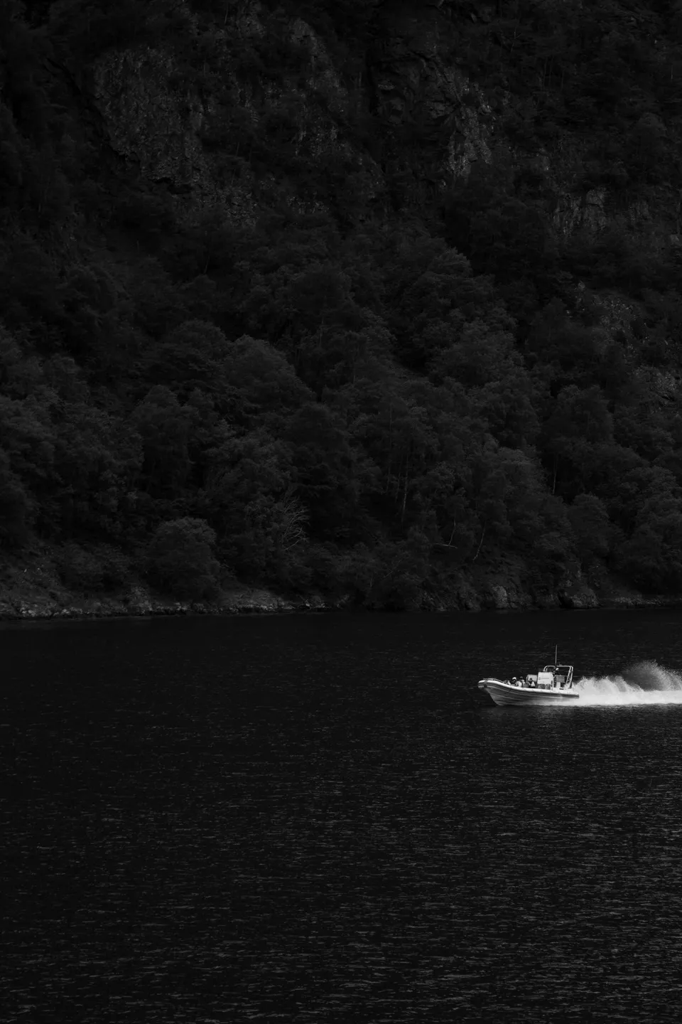 Speeding Boat