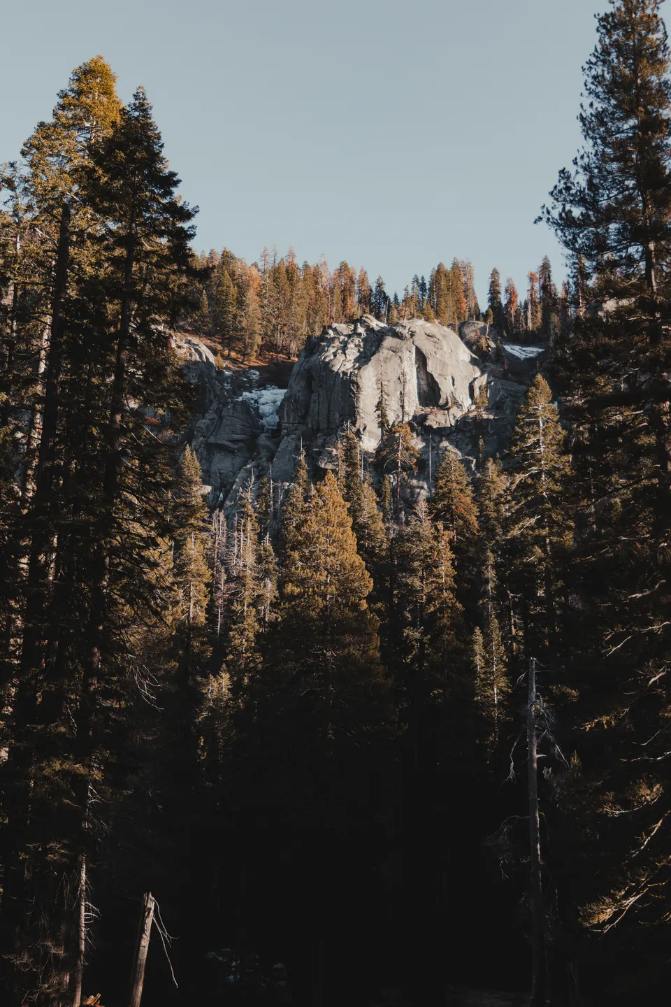 Tokopah Falls Trail