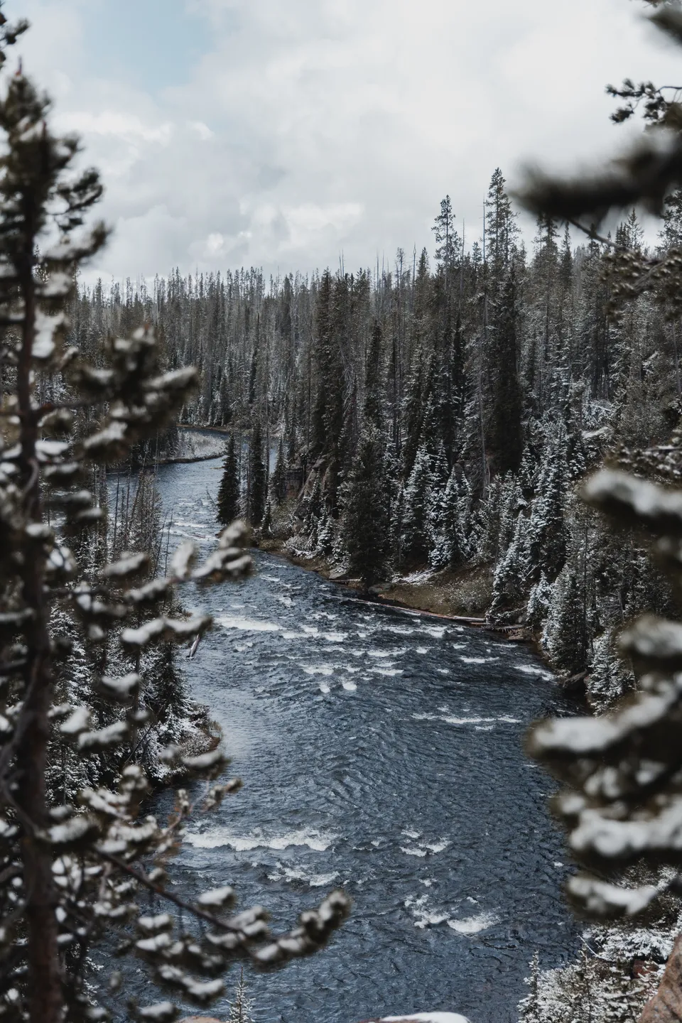 Yellowstone Summer Snow